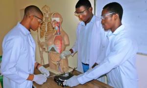 Students in Biology Lab