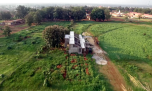 Ongoing Stadium Construction